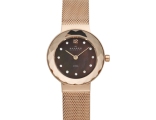 Skagen 456SRR1