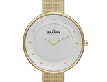 Skagen SKW2141