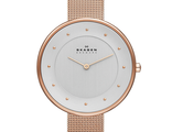 Skagen SKW2142