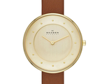 Skagen SKW2138