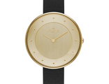 Skagen SKW2262